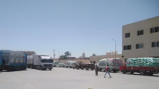 282 ألف طن قمح تدخل صوامع المنيا منذ بدء موسم التوريد