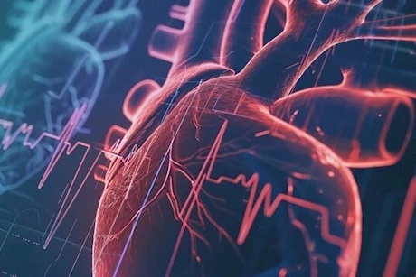 سرعة ضربات القلب بدون مجهود- طبيب: علامة على هذه الأمراض