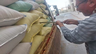 توريد أكثر من 113 ألف طن قمح إلى صوامع أسيوط -صور