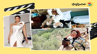 نادين نجيم جريئة وشيرين رضا بصحبة قططها.. لقطات نجوم الفن خلال 24 ساعة