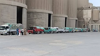 ارتفاع كميات القمح الموردة لصوامع المنيا إلى 330 ألف طن