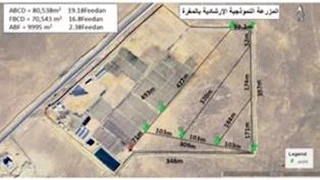 إطلاق المرحلة الثانية من المزرعة البحثية النموذجية بمنطقة المغرة