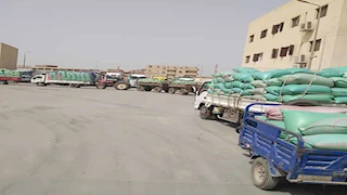  توريد 375 ألف طن قمح لصوامع المنيا -صور