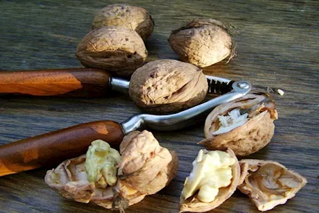 أكثر من عين الجمل- 6 أطعمة غنية بأوميجا 3