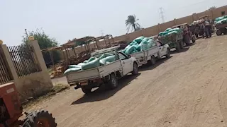 توريد 217 ألف طن قمح للشون والصوامع في بني سويف 