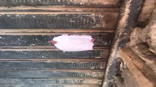 ضبط المحال المخالفة لقرار الغلق.. 121 مخالفة جديدة خلال 24 ساعة