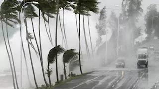 اقتلعت الأشجار.. عاصفة عنيفة تضرب أربيل وحرائق تلتهم الأراضي الزراعية (فيديو)