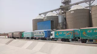 توريد 450 ألف طن قمح لصوامع المنيا 