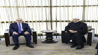 الطيب يعلن دعم الأزهر غير المحدود للشعب اللبناني