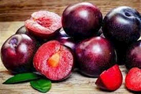 البرقوق لفقر الدم.. هل يحقق نتائج فعالة؟