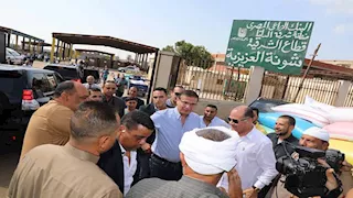 وزير الزراعة: 3.14 مليون فدان مزروعة بالقمح هذا العام