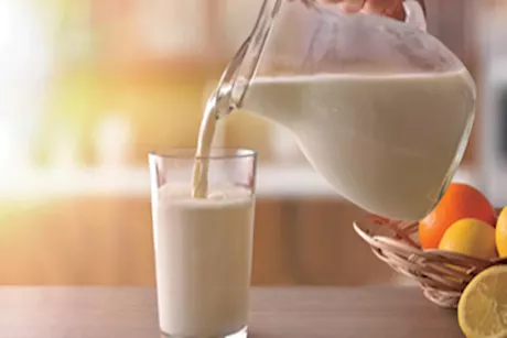 فوائد بذور اللوتس المنقوعة بالحليب- هل تنقص الوزن؟ 