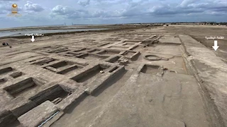 الدفاع عن الحضارة: كشف قلاع شمال سيناء يحتاج دراسة من علماء النباتات لهذا السبب