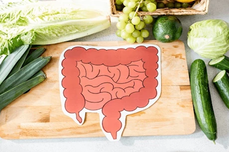 نقص البكتيريا النافعة في الأمعاء- إليك أعراضه ومضاعفاته وعلاجه