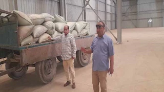 محافظ المنيا: توريد 150 ألف طن قمح للصوامع منذ بدء الحصاد  