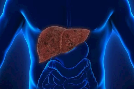 هذا المعدن يحميك من دهون الكبد- 8 أطعمة غنية به