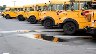  سبب طلاء أتوبيسات المدارس باللون الأصفر.. اعرف السر