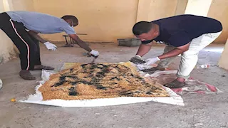 بالصور- حملة لمكافحة القوارض على مساحة 164 ألف فدان بالبحيرة 