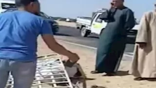  3 جثث و11 مصابًا.. ننشر أسماء ضحايا حادث انقلاب ميكروباص المنيا (صور)