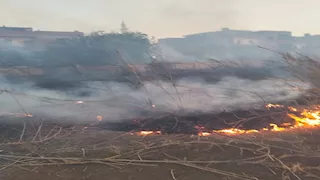 السيطرة على حريق بمحيط مركز إرسال الإذاعة والتلفزيون في الدقهلية 
