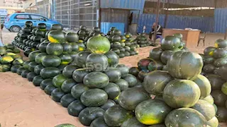 صيدلية متنقلة.. باحثة بمعهد تكنولوجيا الأغذية تكشف أهمية البطيخ -(فيديو)