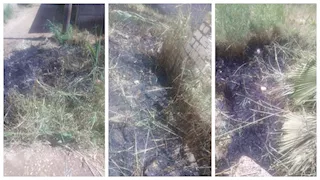 حريق داخل مقر وحدة دلهانس في بني سويف.. ماذا حدث؟ (صور)