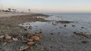 انحسار مياه البحر على شواطئ طور سيناء -صور 