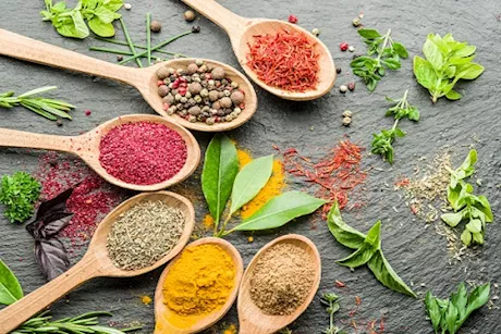 فورمة الساحل- أعشاب وتوابل لفقدان الوزن في الصيف