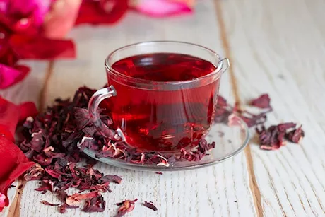 هل يمكن علاج النقرس بشاي الكركدية؟