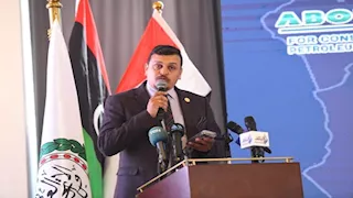 البخشوان: ندعم توصيات مصر التاريخية في مجلس الأمن