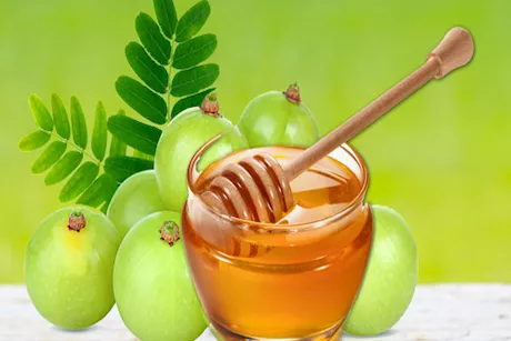 مشروب سحري متعدد الفوائد- هل جربت أملا المنقوعة في العسل؟ 