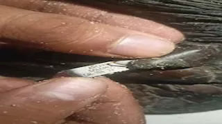 تُدعى تايتو.. البيئة: إنقاذ سلحفاة بحرية مرقمة من دولة اليونان