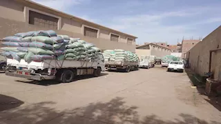 محافظ المنيا: توريد 510 آلاف طن قمح حتى الآن منذ بدء الموسم