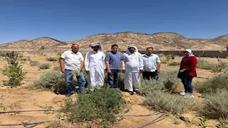 بحوث الصحراء يطلق المرحلة الثانية لمشروع التنمية الزراعية بجنوب سيناء