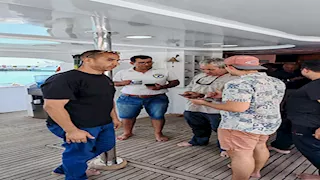 البيئة: استئناف برنامج رصد وتتبع أسماك القرش في البحر الأحمر