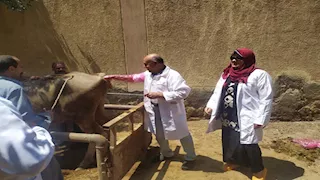 إطلاق قوافل علاجية مجانية لدعم صغار المربين في 5 محافظات