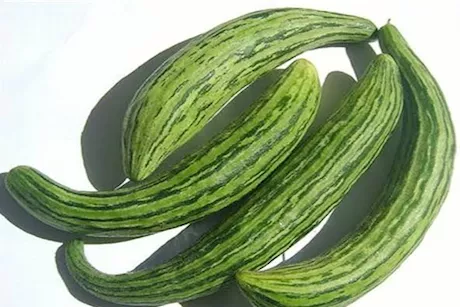 القتة للرجال- كيف تؤثر على الصحة الجنسية؟