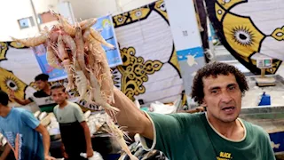 "أسماكنا بنصف ثمنها".. مبادرة لتخفيف العبء عن المواطنين بالإسماعيلية 