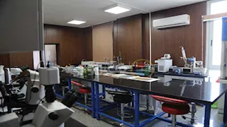 رسميًا.. افتتاح جامعة دمياط الأهلية ضمن خطة الدولة للتوسع في التعليم الجامعي