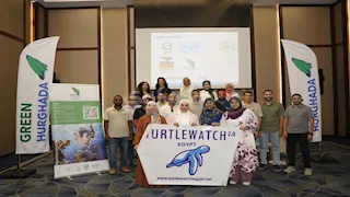 "البيئة": تدريب الباحثين الجدد بالمحميات على رصد السلاحف البحرية