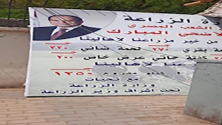 صور- الزراعة: إقبال كبير من المواطنين على المنافذ لشراء لحوم عيد الأضحى 