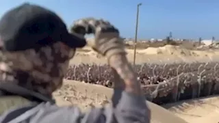 كيف تحولت خطة توزيع المساعدات الأمريكية إلى مصيدة إسرائيلية بغزة؟