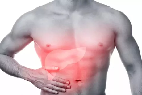 الكبد الدهني.. القاتل الصامت الذي يهدد صحتك