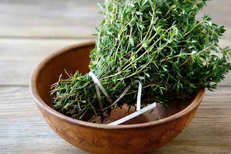 الزعتر الأخضر.. أسرار صحية في مشروب دافئ