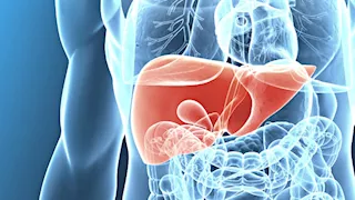 3 علامات في بطنك تدل على أن كبدك في خطر