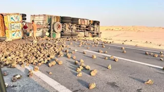 انقلاب تريلا محملة بالبنجر يغلق طريق تنيدة بالوادي الجديد