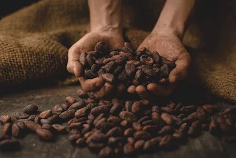 للرجال- 6 فوائد جنسية للكاكاو