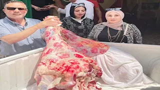 ضبط لحوم مذبوحة خارج السلخانة وتحرير 136 مخالفة متنوعة في الإسماعيلية 