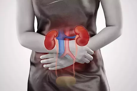 لماذا تتكرر التهابات المسالك البولية؟.. إليك الأسباب