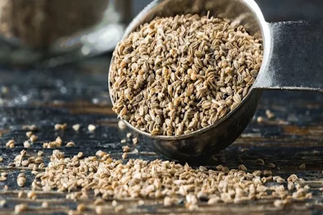 بذور الكرفس على الريق.. سر طبيعي لمحاربة الانتفاخ صيفًا